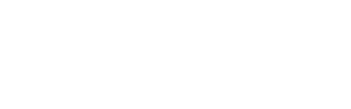 Bizcocity