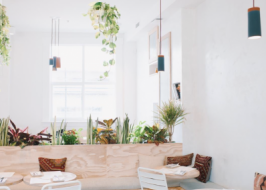 middle eastern vegetarian eatery