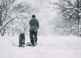 landscaping and snow removal business landscaping and snow removal business