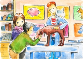 dog-grooming